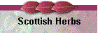 Scottish Herbs